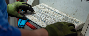 Tastiere Foil-covered